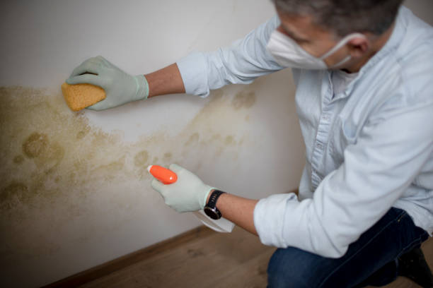 Best Mold Testing and Removal  in Coppell, TX