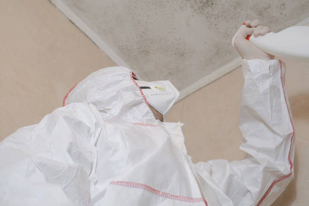 Best Commercial Mold Removal  in Coppell, TX