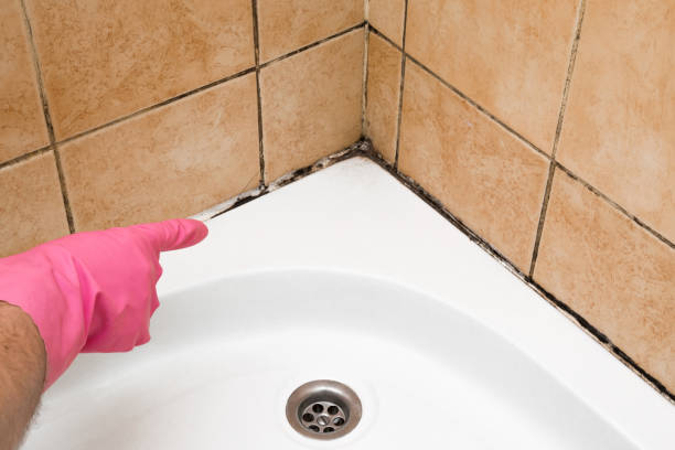 Best Mold Testing  in Coppell, TX